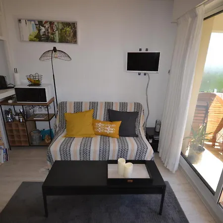 Duplex T2 Avec Balcon Et Terrasse, Les Pieds Dans L'eau, - Fr-1-420-126