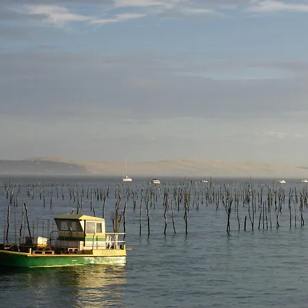 Duplex T2 Avec Balcon Et Terrasse, Les Pieds Dans L'eau, - Fr-1-420-126 アパート *