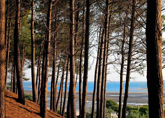 Apartment Duplex T2 Avec Balcon Et Terrasse, Les Pieds Dans L'eau, - Fr-1-420-126 *