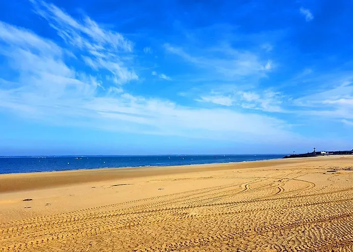 Duplex T2 Avec Balcon Et Terrasse, Les Pieds Dans L'eau, - Fr-1-420-126