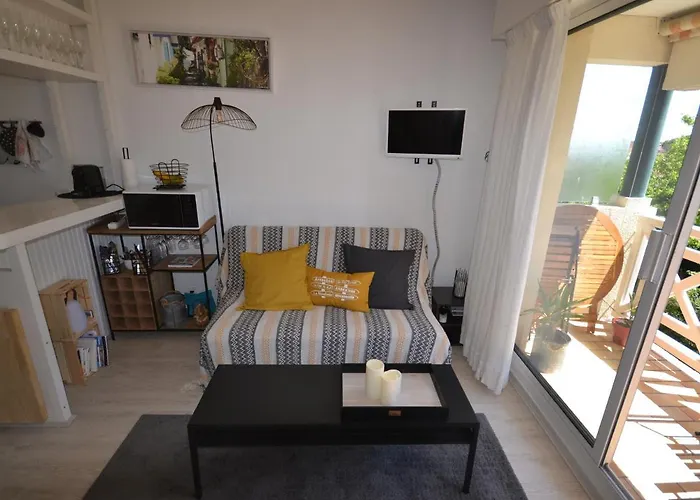 Duplex T2 Avec Balcon Et Terrasse, Les Pieds Dans L'eau, - Fr-1-420-126