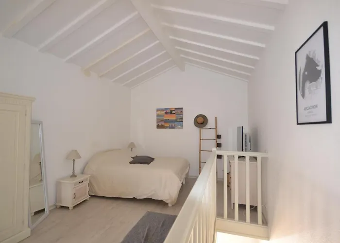 アパート Duplex T2 Avec Balcon Et Terrasse, Les Pieds Dans L'eau, - Fr-1-420-126