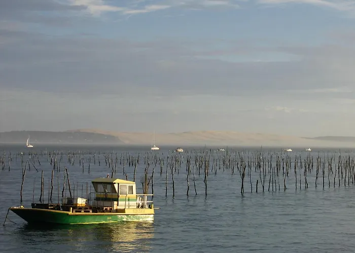 Duplex T2 Avec Balcon Et Terrasse, Les Pieds Dans L'eau, - Fr-1-420-126 Apartment *